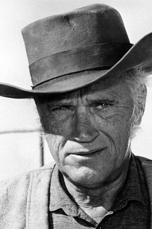 罗伯特·J·威尔克